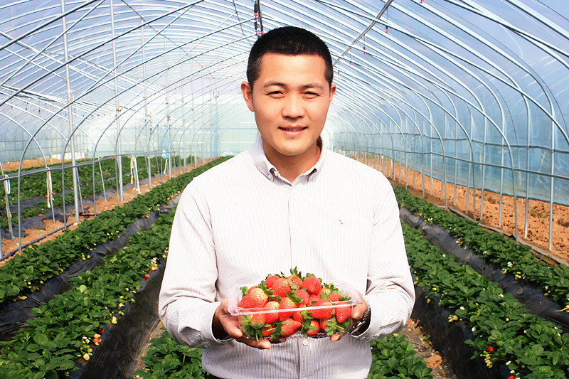 ��Ҋ ��ݮ���� ֻ����� ���� �_���f�^(q��)�����(zh��n)������ݮ�@��ݮ���r����